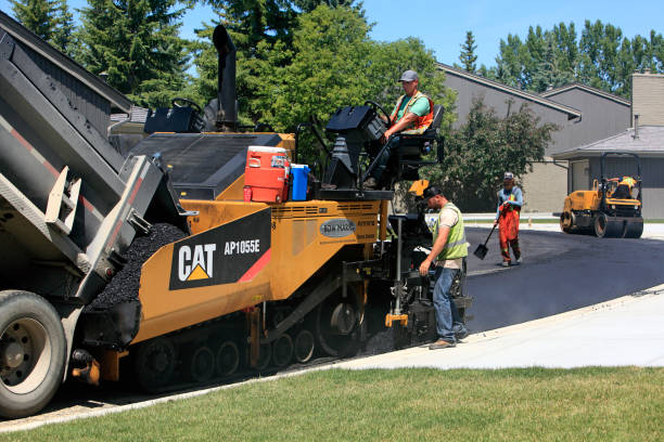 Best Best Driveway Pavers  in Foley, MN